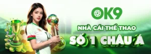 Ưu Điểm Nổi Bật Của Nhà Cái OK9 Trong Công Nghệ Bảo Mật